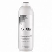 Технический шампунь для окрашенных и блондированных волос - Kydra Post Hair Color Shampoo 
