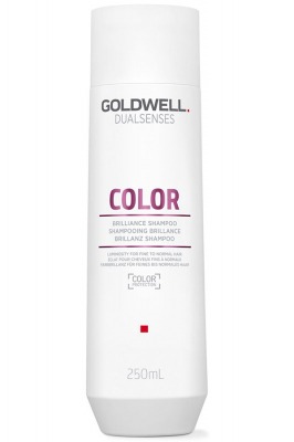 Шампунь для окрашенных волос - Goldwell Dualsenses Color Brilliance Shampoo (колор шампунь) 