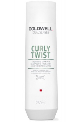 Увлажняющий шампунь для вьющихся волос  - Goldwell Dualsenses Curly Twist Shampoo 