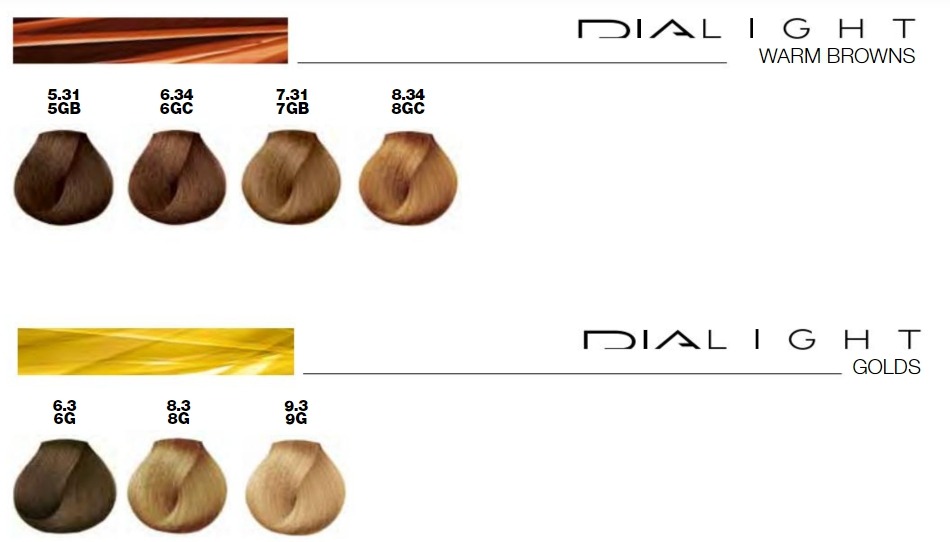 DiaLight 2.jpg