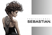 Sebastian Professionel