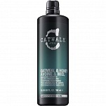 Шампунь для питания сухих и ломких волос - Catwalk Oatmeal&Honey Shampoo 