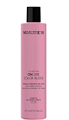 Шампунь для стабилизации цвета Color Block Stabilizer Shampoo