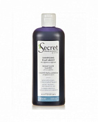 Шампунь с растительными оттеночными пигментами - Kydra Secret Professionnel Radiant Silver Shampoo