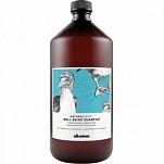 Увлажняющий шампунь для всех типов волос - Davines New Natural Tech Well-Being Shampoo 