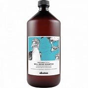 Увлажняющий шампунь для всех типов волос - Davines New Natural Tech Well-Being Shampoo 