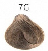 лесной орех  7-G 