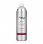 Шампунь с растительными оттеночными пигментами (упаковка Alum) - Kydra Secret Professionnel Radiant Silver Shampoo (Alum Pack)