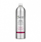 Шампунь с растительными оттеночными пигментами (упаковка Alum) - Kydra Secret Professionnel Radiant Silver Shampoo (Alum Pack) 
