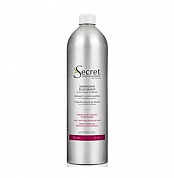 Шампунь с растительными оттеночными пигментами (упаковка Alum) - Kydra Secret Professionnel Radiant Silver Shampoo (Alum Pack)