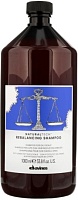 Балансирующий шампунь -Davines Natural Tech Rebalancing Shampoo  