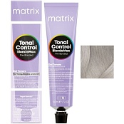 11PA (Ультра светлый блондин жемчужный пепельный) № 11PA